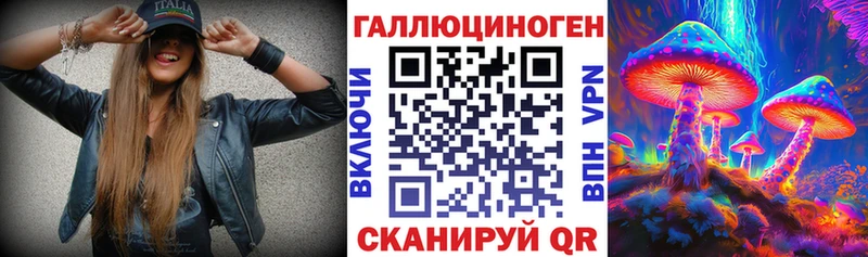 Галлюциногенные грибы Psilocybe  Исилькуль 